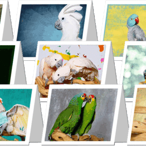 2011 Flock Photos Greeting Cards