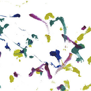 2017-01 Painting by Apollo, Green-Winged Macaw
