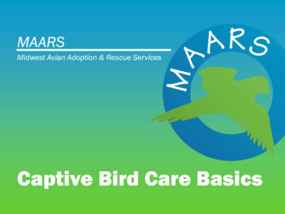 Slide from the MAARS Bird Care Class