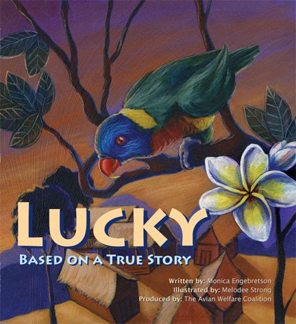 Drawing of a Rainbow Lorikeet on the cover of a book
