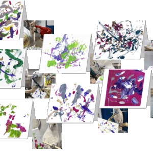 A display of 7 greeting cards showing abstract paintings on the front of the cards, and a photo of the parrot creating the painting next to the card