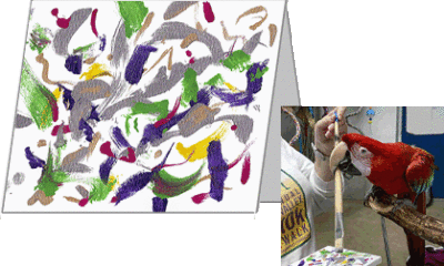 A greeting card with an abstract painting on the front, and a photo of the parrot creating the painting using his beak to hold the paint brush