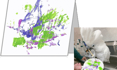 A greeting card with an abstract painting on the front, and a photo of the parrot creating the painting using his beak to hold the paint brush