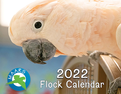 Cover image of the 2022 MAARS flock calendar