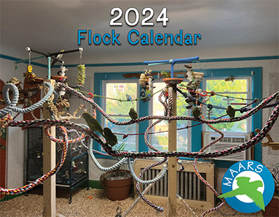 Cover image of the 2024 MAARS flock calendar