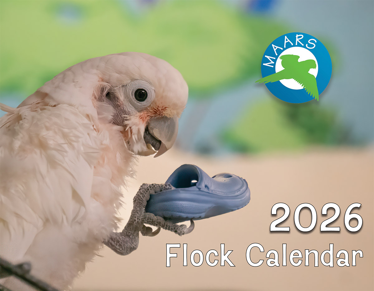 MAARS 2026 Calendar